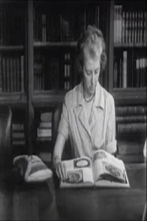 Постер: The Librarian