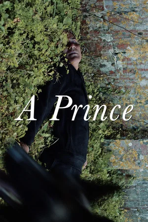 Постер: A Prince