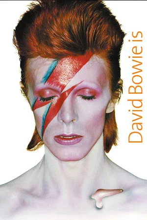 Постер: David Bowie Is Happening Now