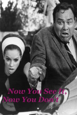 Постер: Now You See It, Now You Don't