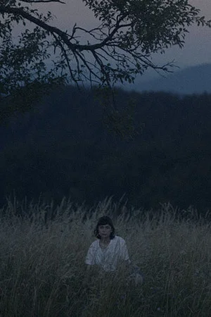 Постер: What Remains