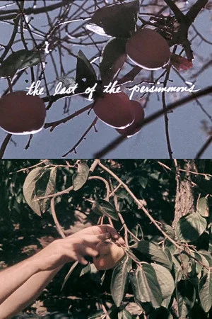 Постер: The Last of the Persimmons