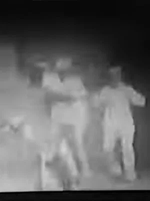 Постер: The Escaped Lunatic