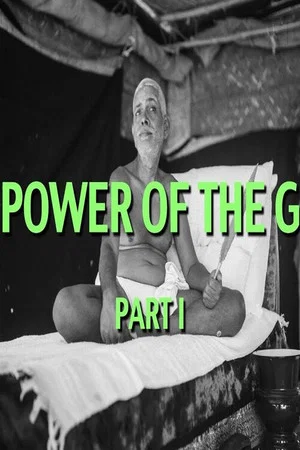 Постер: Talks on Sri Ramana Maharshi: Narrated by David Godman - The Power of the Guru
