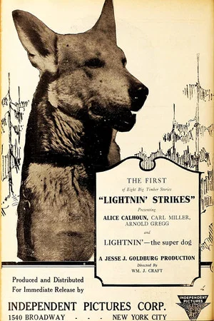 Постер: Lightnin' Strikes