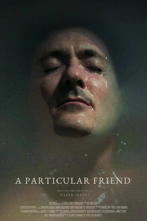 Постер: A Particular Friend