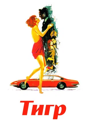Постер: Тигр