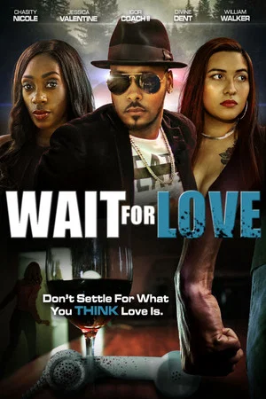 Постер: Wait for Love