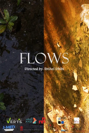 Постер: Flows