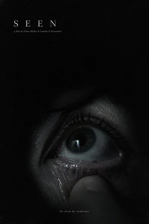 Постер: Seen