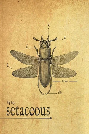 Постер: Setaceous