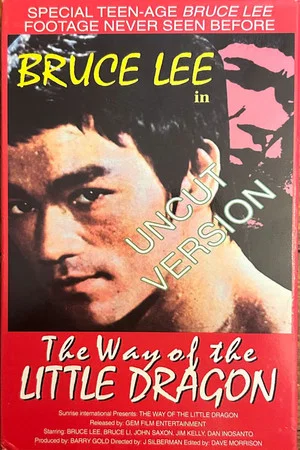 Постер: The Way of the Little Dragon