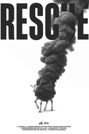 Постер: Rescue