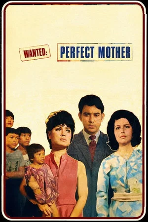 Постер: Wanted: Perfect Mother