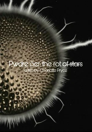 Постер: Pwdre Ser: the rot of stars