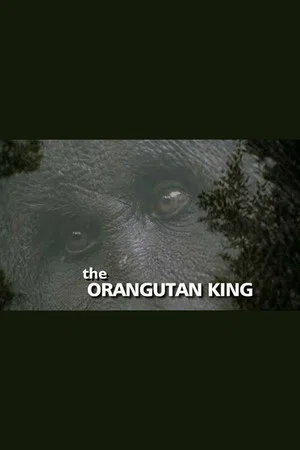Постер: The Orangutan King