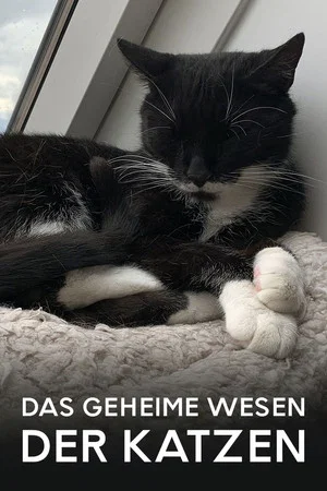 Постер: Das geheime Wesen der Katzen