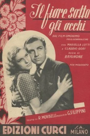Постер: Il fiore sotto gli occhi