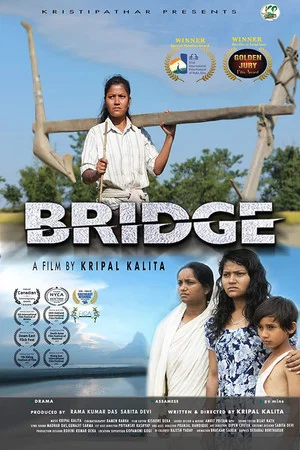 Постер: Bridge