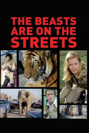 Постер: The Beasts Are on the Streets