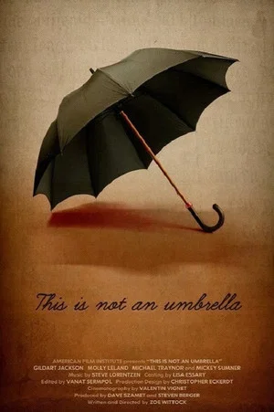 Постер: This is Not an Umbrella