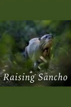 Постер: Raising Sancho