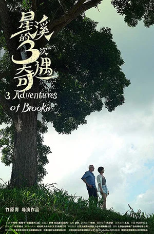 Постер: Three Adventures of Brooke
