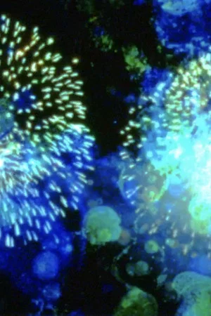 Постер: 14 Juillet