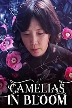 Постер: Camellias in Bloom