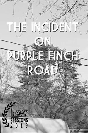 Постер: The Incident on Purple Finch Road