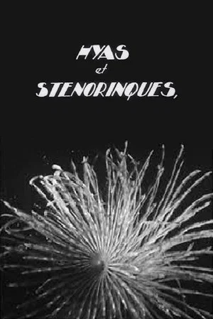 Постер: Hyas and Stenorhynchus