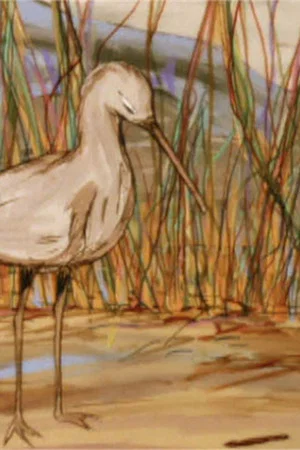 Постер: The Way Of The Birds