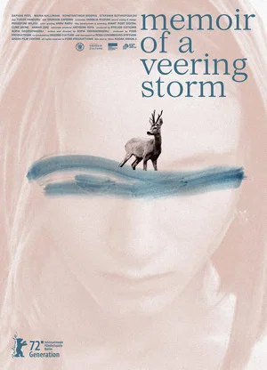 Постер: Memoir of a Veering Storm