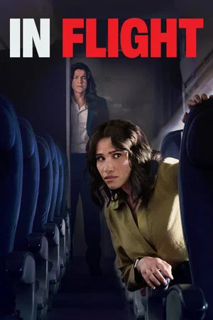 Постер: In Flight