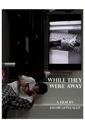 Постер: While They Were Away