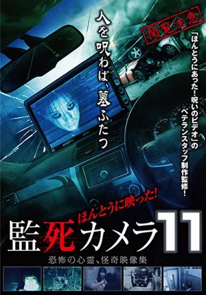 Постер: Paranormal Surveillance Camera 11