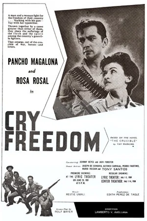 Постер: Cry Freedom