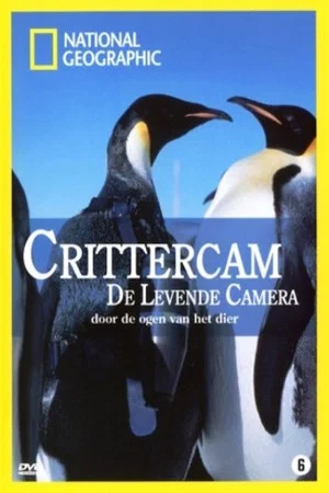 Постер: Crittercam