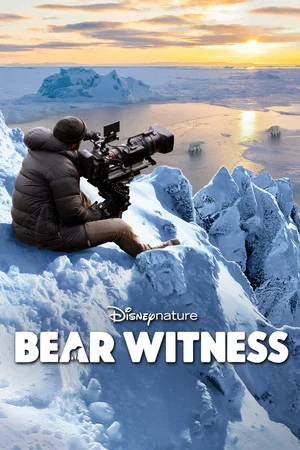 Постер: Bear Witness