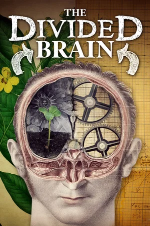 Постер: The Divided Brain