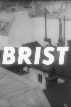 Постер: Brist