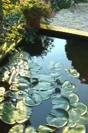 Постер: Lotus Song 2