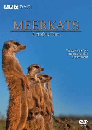 Постер: Meerkats: Part of the Team