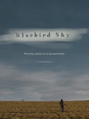 Постер: Bluebird Sky