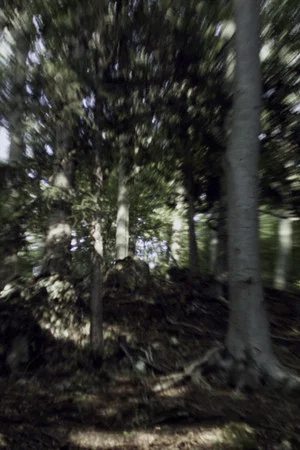 Постер: VERTIGO RUSH