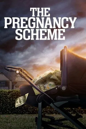 Постер: The Pregnancy Scheme