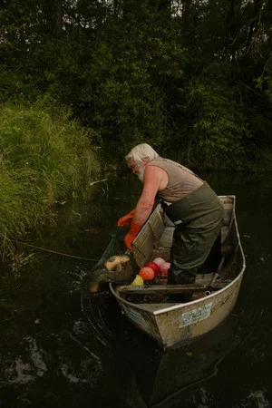 Постер: Le dernier pêcheur du Rhin