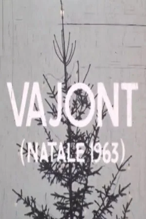 Постер: Vajont (Natale 1963)