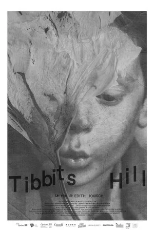 Постер: Tibbits Hill