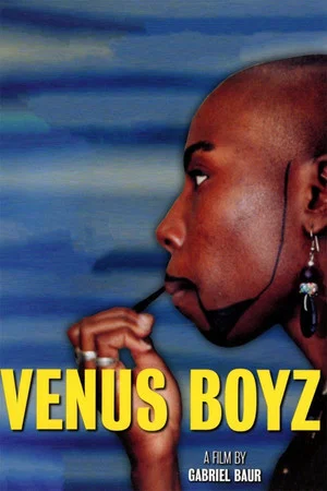 Постер: Venus Boyz